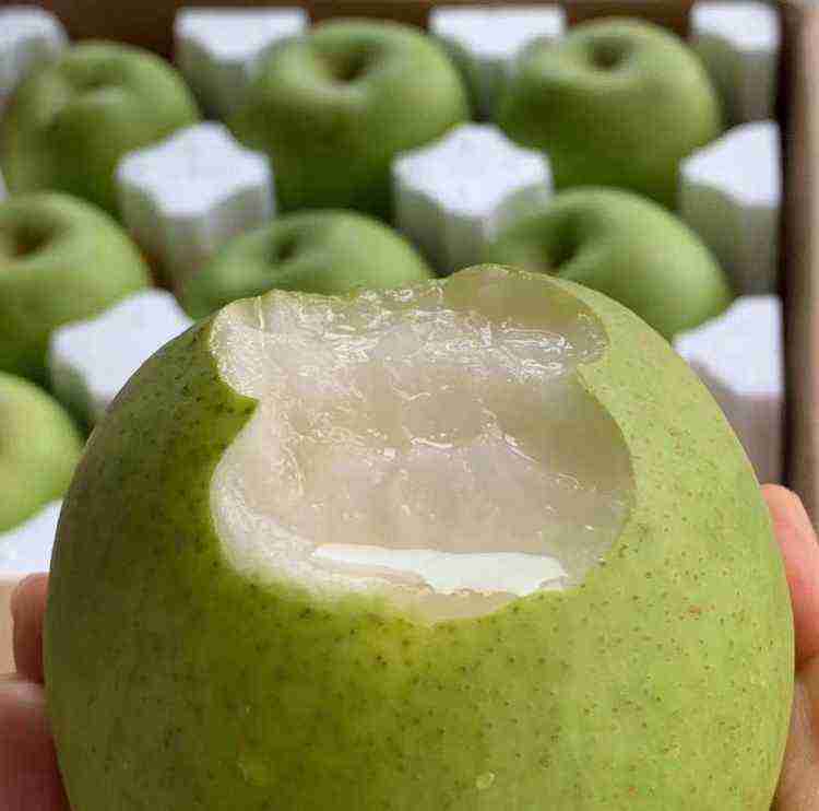 现摘现发六月脆精品果约5斤装包邮