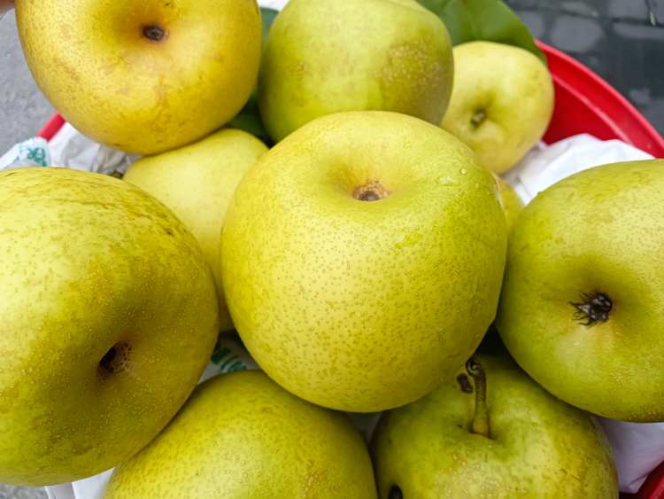 六月脆精品果 现摘现发 约10斤