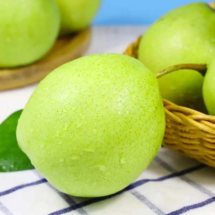 现摘现发酥梨9.5斤