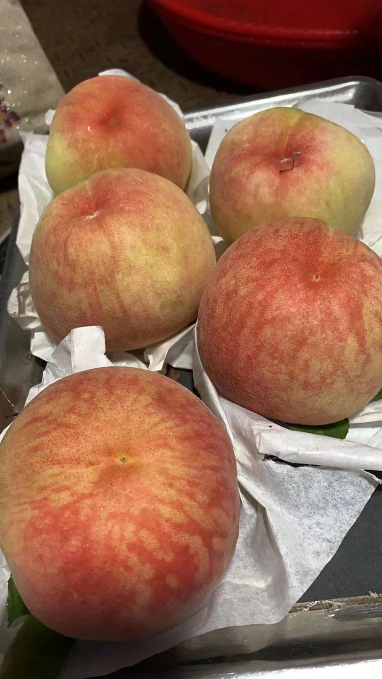 晚湖景水蜜桃（12-18个装，约8.5斤）